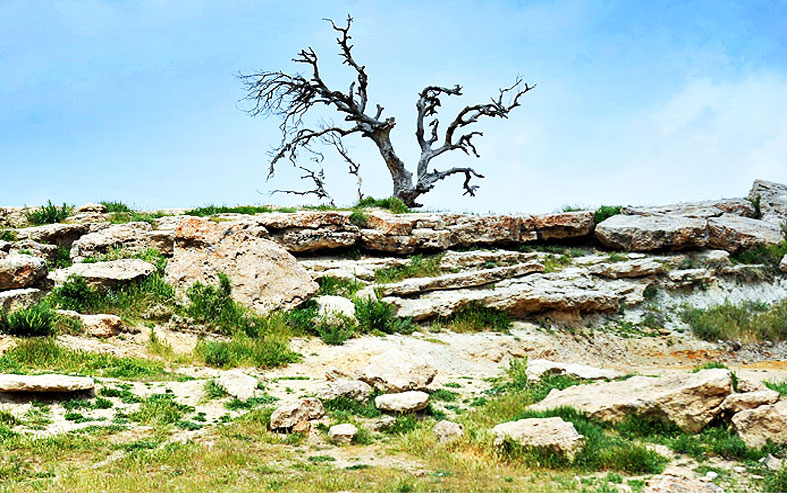 آب گرم شاهانه!